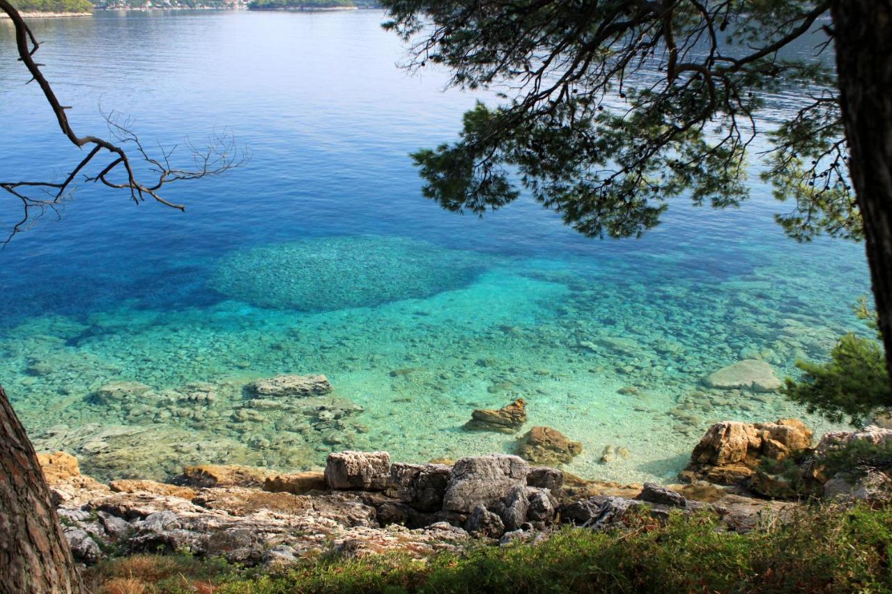 Apartments By The Sea Ubli, Lastovo - 8354 Uble Dış mekan fotoğraf
